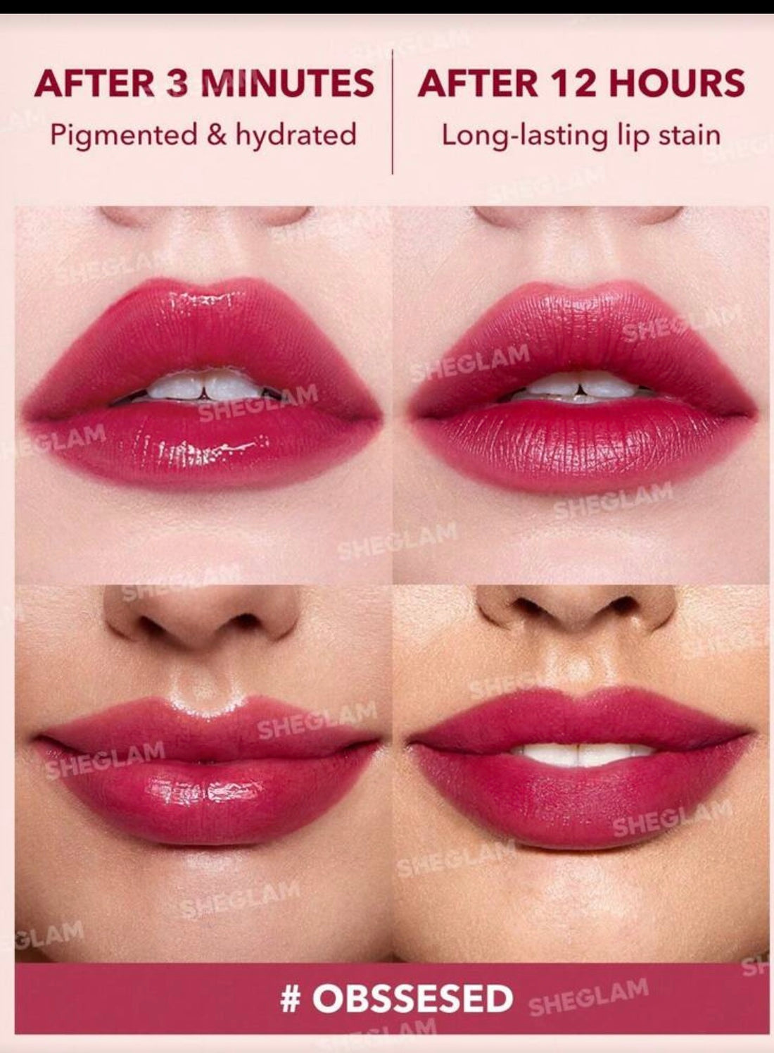 sheglam take a hint lip tint Obsessed